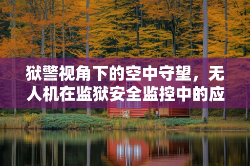 狱警视角下的空中守望，无人机在监狱安全监控中的应用挑战