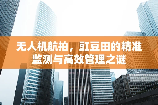 无人机航拍，豇豆田的精准监测与高效管理之谜