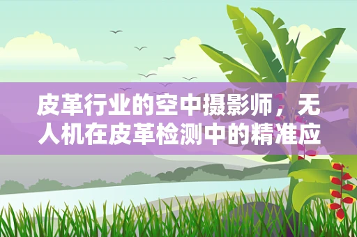 皮革行业的空中摄影师，无人机在皮革检测中的精准应用？