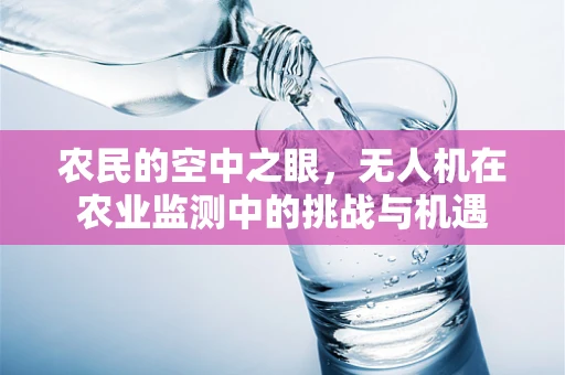 农民的空中之眼，无人机在农业监测中的挑战与机遇