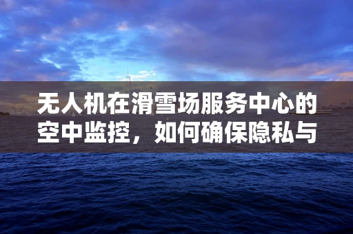 无人机在滑雪场服务中心的空中监控，如何确保隐私与安全？