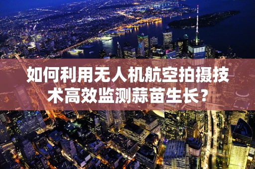 如何利用无人机航空拍摄技术高效监测蒜苗生长？