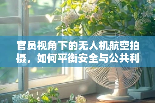 官员视角下的无人机航空拍摄，如何平衡安全与公共利益？