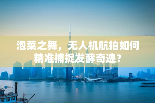泡菜之舞，无人机航拍如何精准捕捉发酵奇迹？
