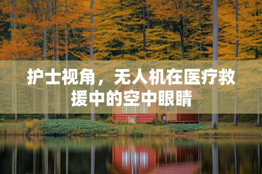 护士视角，无人机在医疗救援中的空中眼睛