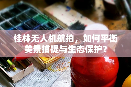 桂林无人机航拍，如何平衡美景捕捉与生态保护？