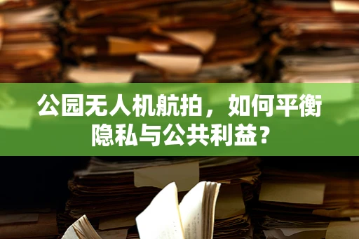公园无人机航拍，如何平衡隐私与公共利益？