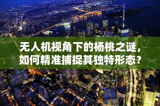 无人机视角下的杨桃之谜，如何精准捕捉其独特形态？