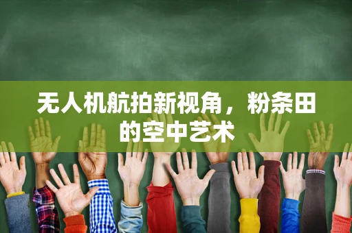 无人机航拍新视角，粉条田的空中艺术
