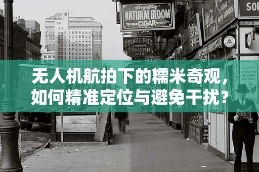 无人机航拍下的糯米奇观，如何精准定位与避免干扰？