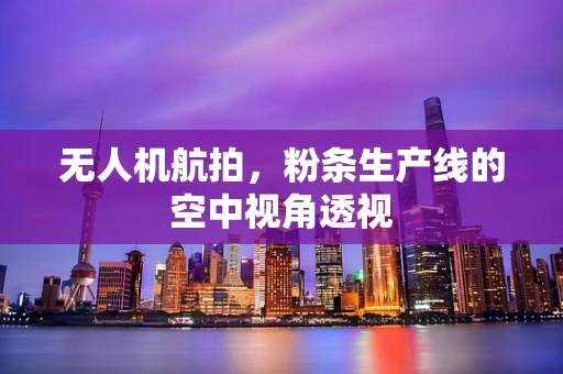 无人机航拍，粉条生产线的空中视角透视
