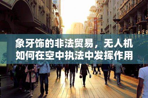 象牙饰的非法贸易，无人机如何在空中执法中发挥作用？