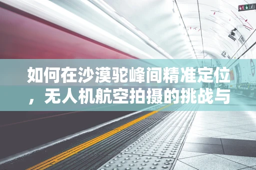 如何在沙漠驼峰间精准定位，无人机航空拍摄的挑战与策略
