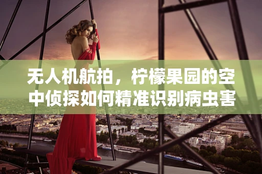 无人机航拍，柠檬果园的空中侦探如何精准识别病虫害？