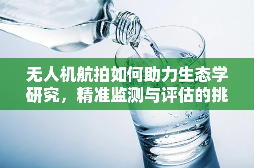无人机航拍如何助力生态学研究，精准监测与评估的挑战与机遇？