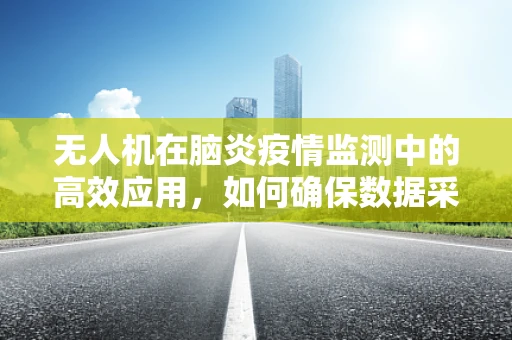 无人机在脑炎疫情监测中的高效应用，如何确保数据采集的准确性与安全性？