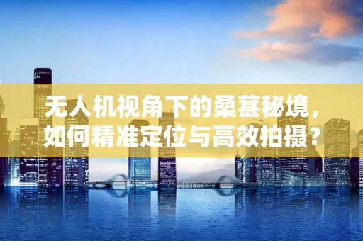 无人机视角下的桑葚秘境，如何精准定位与高效拍摄？