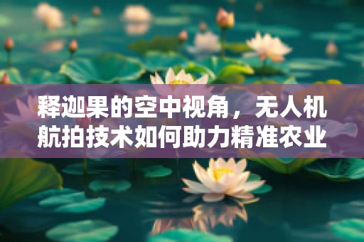 释迦果的空中视角，无人机航拍技术如何助力精准农业监测？