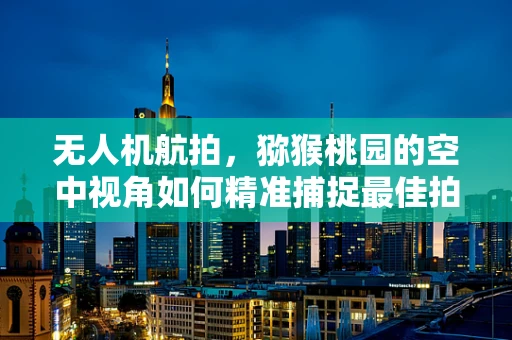 无人机航拍，猕猴桃园的空中视角如何精准捕捉最佳拍摄时机？
