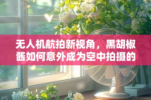 无人机航拍新视角，黑胡椒酱如何意外成为空中拍摄的秘密武器？