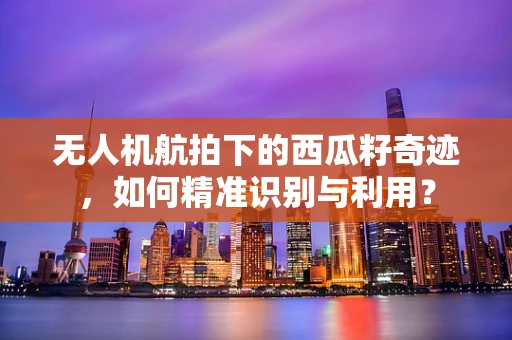 无人机航拍下的西瓜籽奇迹，如何精准识别与利用？