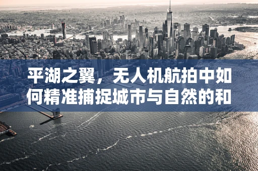 平湖之翼，无人机航拍中如何精准捕捉城市与自然的和谐共融？