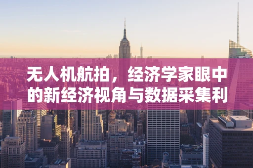 无人机航拍，经济学家眼中的新经济视角与数据采集利器？