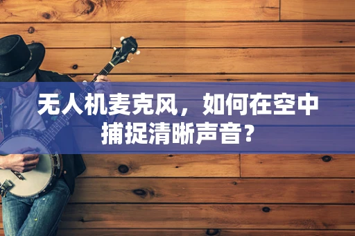 无人机麦克风，如何在空中捕捉清晰声音？
