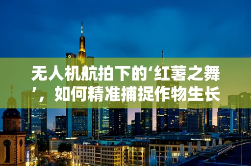 无人机航拍下的‘红薯之舞’，如何精准捕捉作物生长的微妙变化？