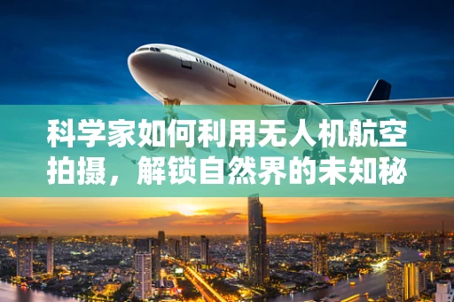 科学家如何利用无人机航空拍摄，解锁自然界的未知秘密？