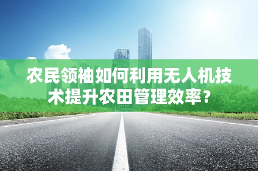 农民领袖如何利用无人机技术提升农田管理效率？