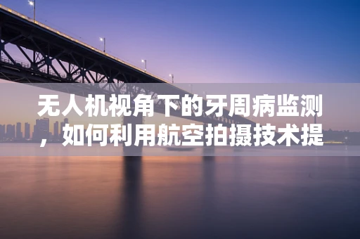 无人机视角下的牙周病监测，如何利用航空拍摄技术提高诊断精度？