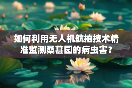 如何利用无人机航拍技术精准监测桑葚园的病虫害？