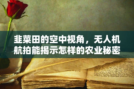 韭菜田的空中视角，无人机航拍能揭示怎样的农业秘密？