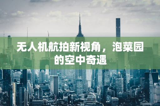 无人机航拍新视角，泡菜园的空中奇遇