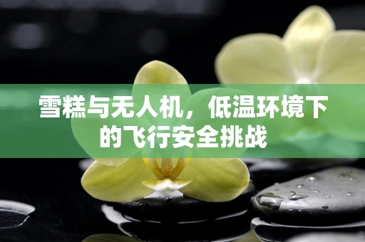 雪糕与无人机，低温环境下的飞行安全挑战