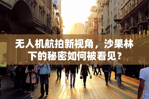 无人机航拍新视角，沙果林下的秘密如何被看见？
