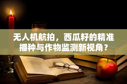无人机航拍，西瓜籽的精准播种与作物监测新视角？