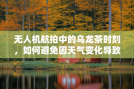 无人机航拍中的乌龙茶时刻，如何避免因天气变化导致的拍摄失误？