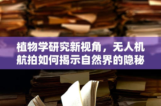 植物学研究新视角，无人机航拍如何揭示自然界的隐秘生态？