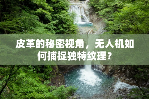 皮革的秘密视角，无人机如何捕捉独特纹理？