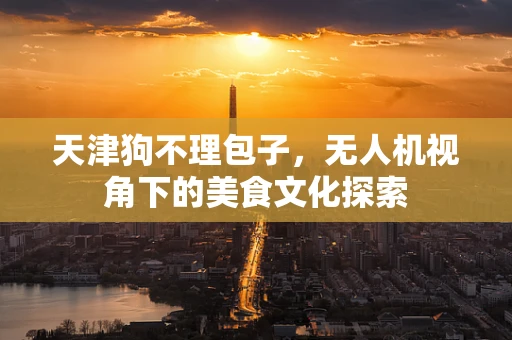 天津狗不理包子，无人机视角下的美食文化探索