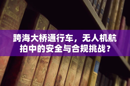 跨海大桥通行车，无人机航拍中的安全与合规挑战？