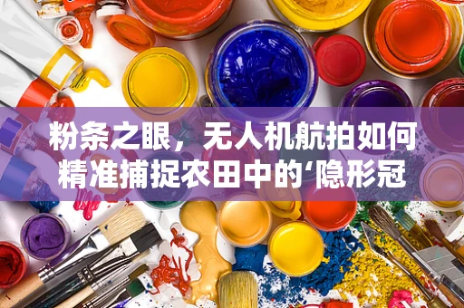 粉条之眼，无人机航拍如何精准捕捉农田中的‘隐形冠军’？