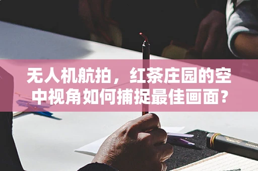 无人机航拍，红茶庄园的空中视角如何捕捉最佳画面？
