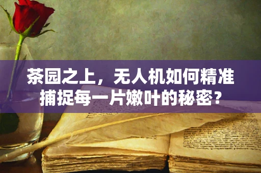 茶园之上，无人机如何精准捕捉每一片嫩叶的秘密？