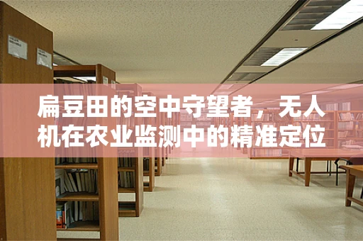 扁豆田的空中守望者，无人机在农业监测中的精准定位挑战