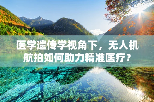 医学遗传学视角下，无人机航拍如何助力精准医疗？