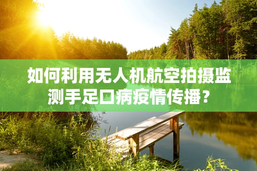 如何利用无人机航空拍摄监测手足口病疫情传播？