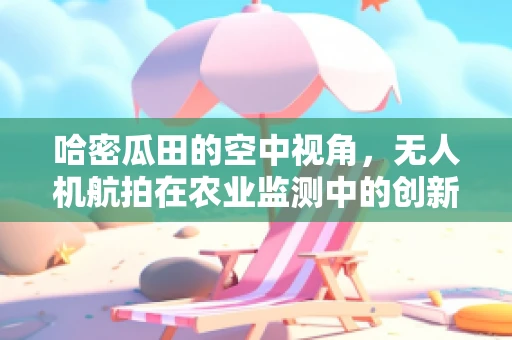 哈密瓜田的空中视角，无人机航拍在农业监测中的创新应用？